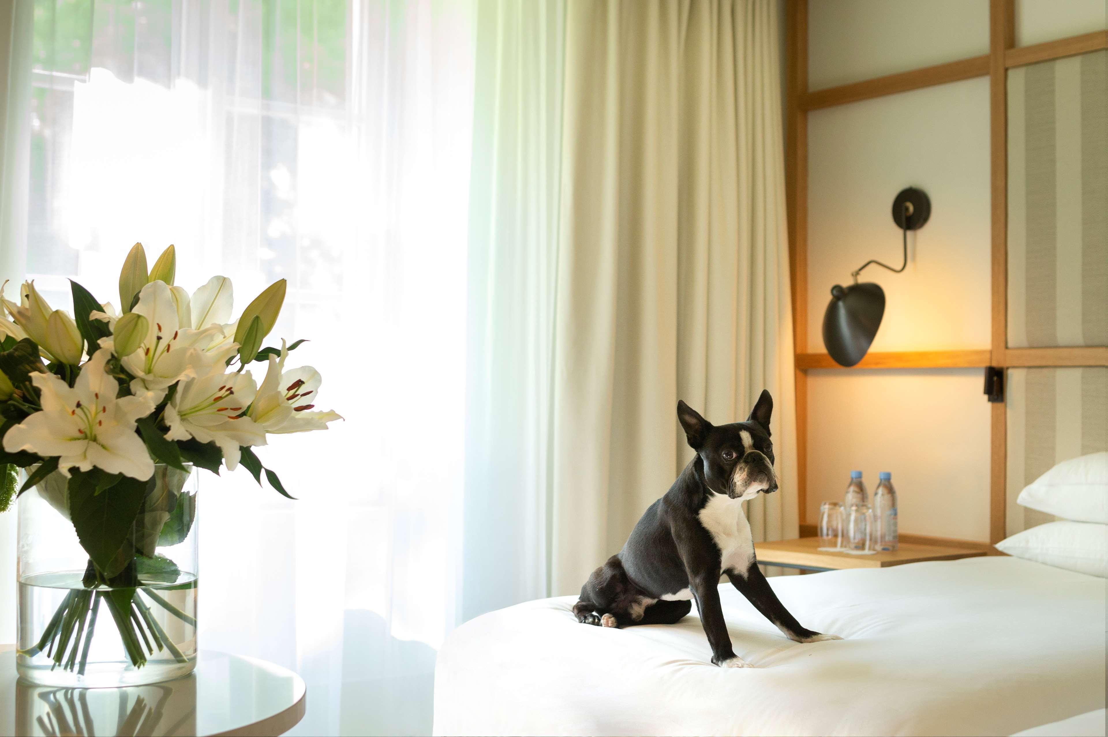 Hyatt Regency Chantilly Vineuil-Saint-Firmin Kültér fotó